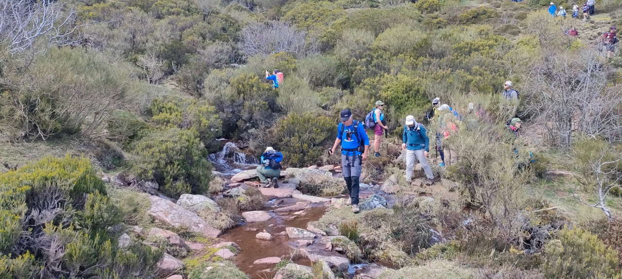 WhatsApp Image 2026-04-08 at 07.40.55 (4)